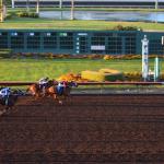 NightAtRaces_0060 (August 24, 2013)